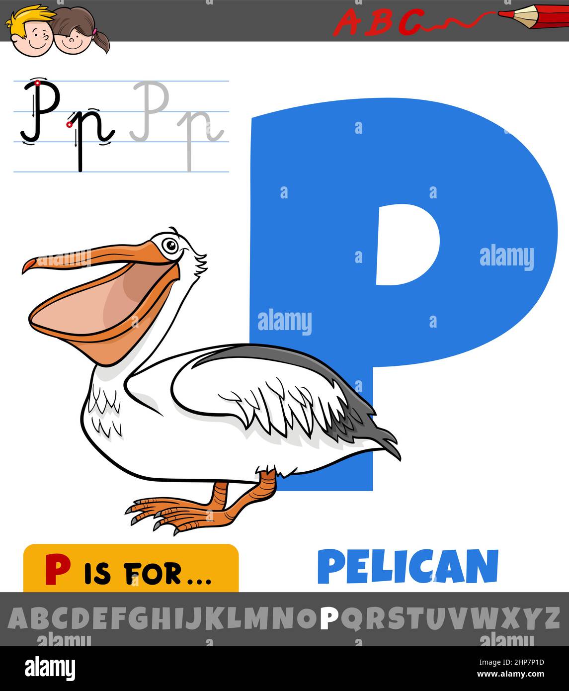 letter P from alphabet with cartoon pelican bird Stock Vector