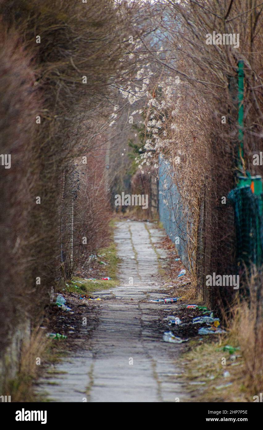 Vertical shot park path hi-res stock photography and images - Alamy