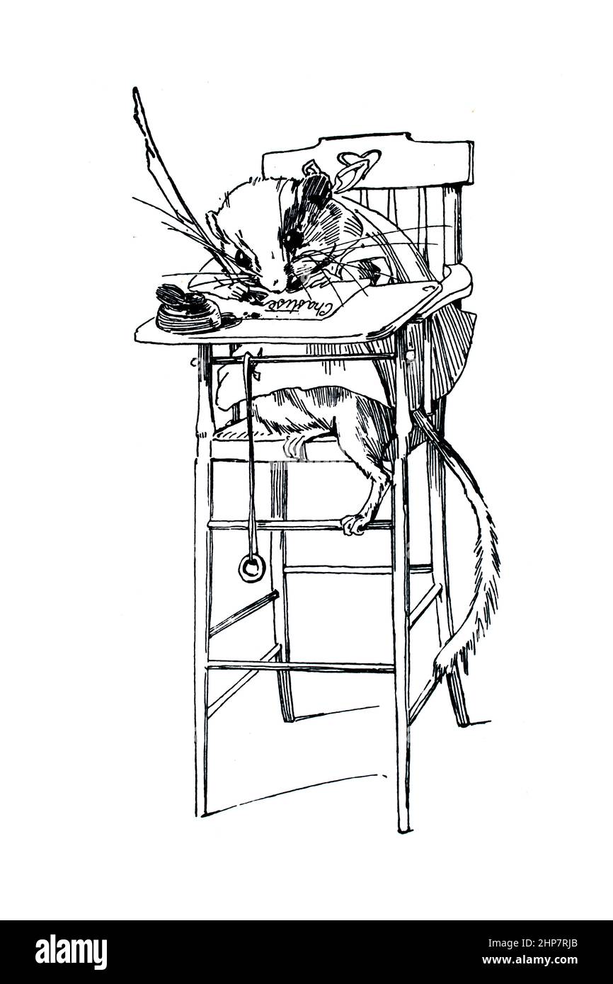 mouse scribe at high chair, 1896 illustration by Alice Woodward: from To Tell the King the Sky is Falling by author Sheila E Braine Stock Photo