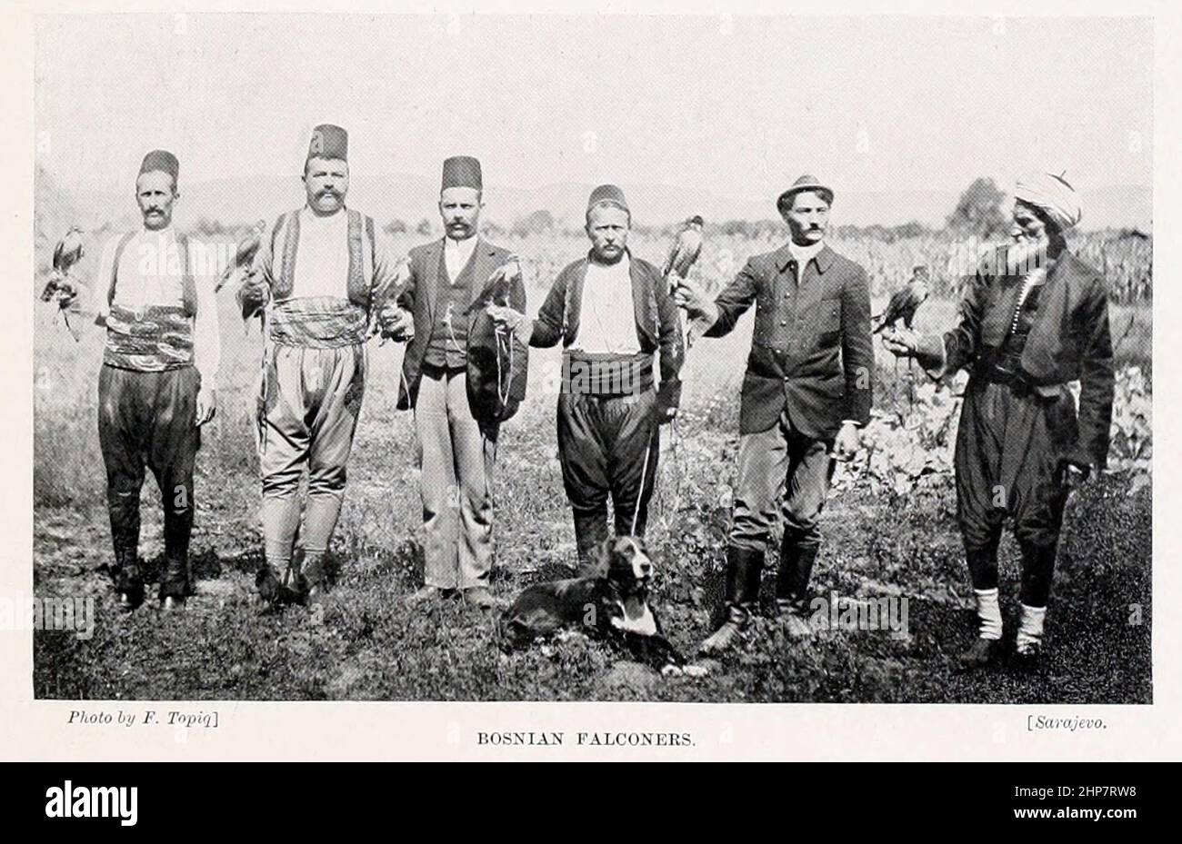 Bosnian falconers From the book The living races of mankind; Volume 2 by Henry Neville Hutchinson, Published in London in 1901 by Hutchinson & co Stock Photo