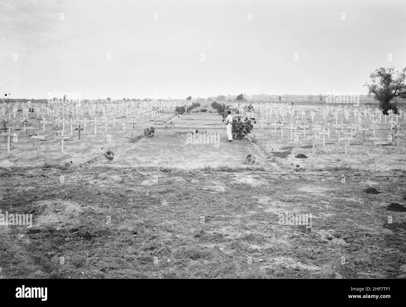 Middle East History: War cemetery in Palestine (probably Gaza)  Location:  Gaza Strip  ca.  between 1917 and 1946 Stock Photo