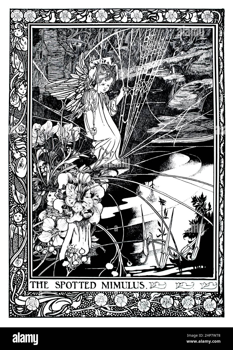 The Spotted Mimilus, 1897 illustration by Charles Robinson, from King Longbeard, or Annals of the Golden Dreamland. A Book of Fairy Tales, by Barringt Stock Photo