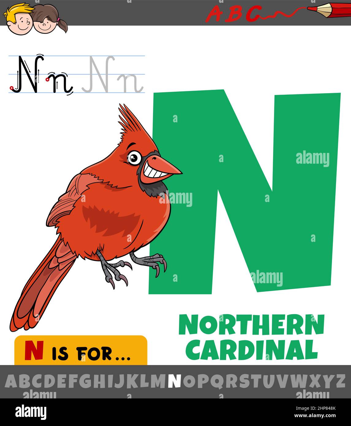 letter N from alphabet with northern cardinal bird character Stock Vector