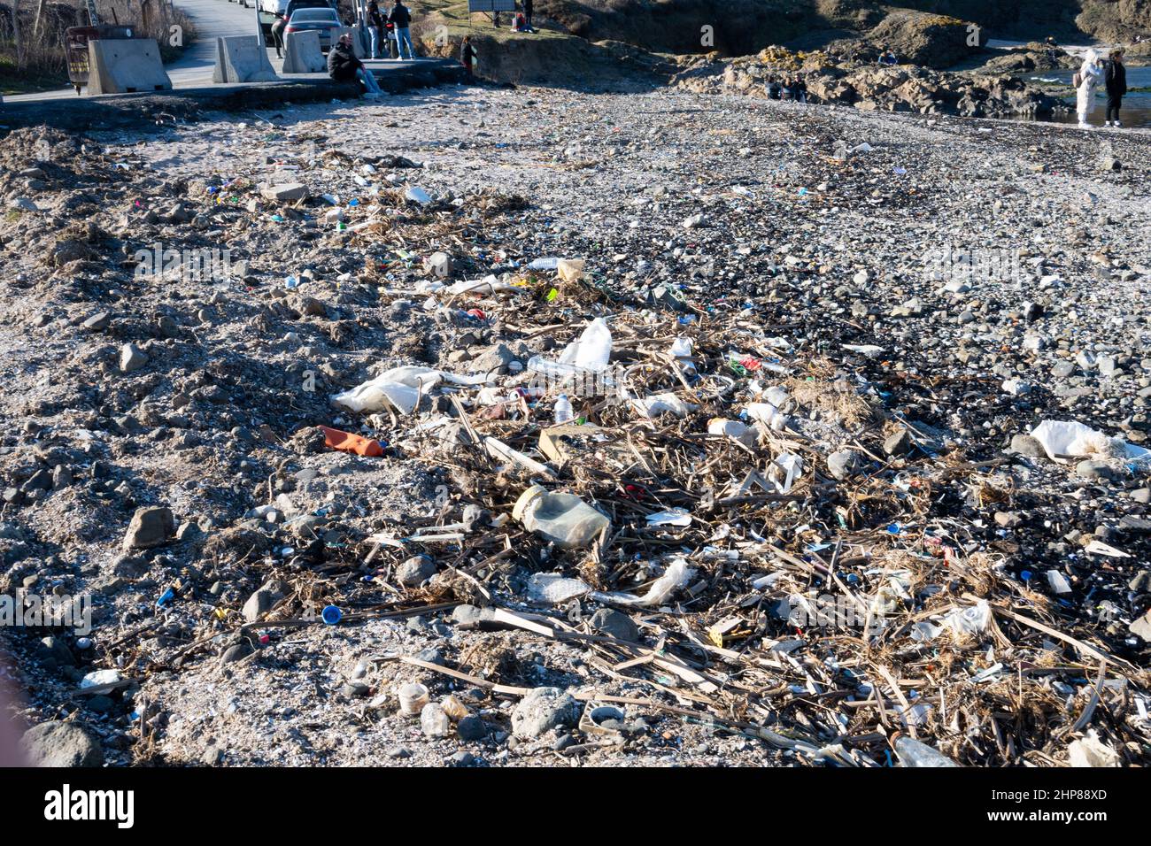 Ecological problem. Dead dolphin on the shore with garbage Stock Photo ...