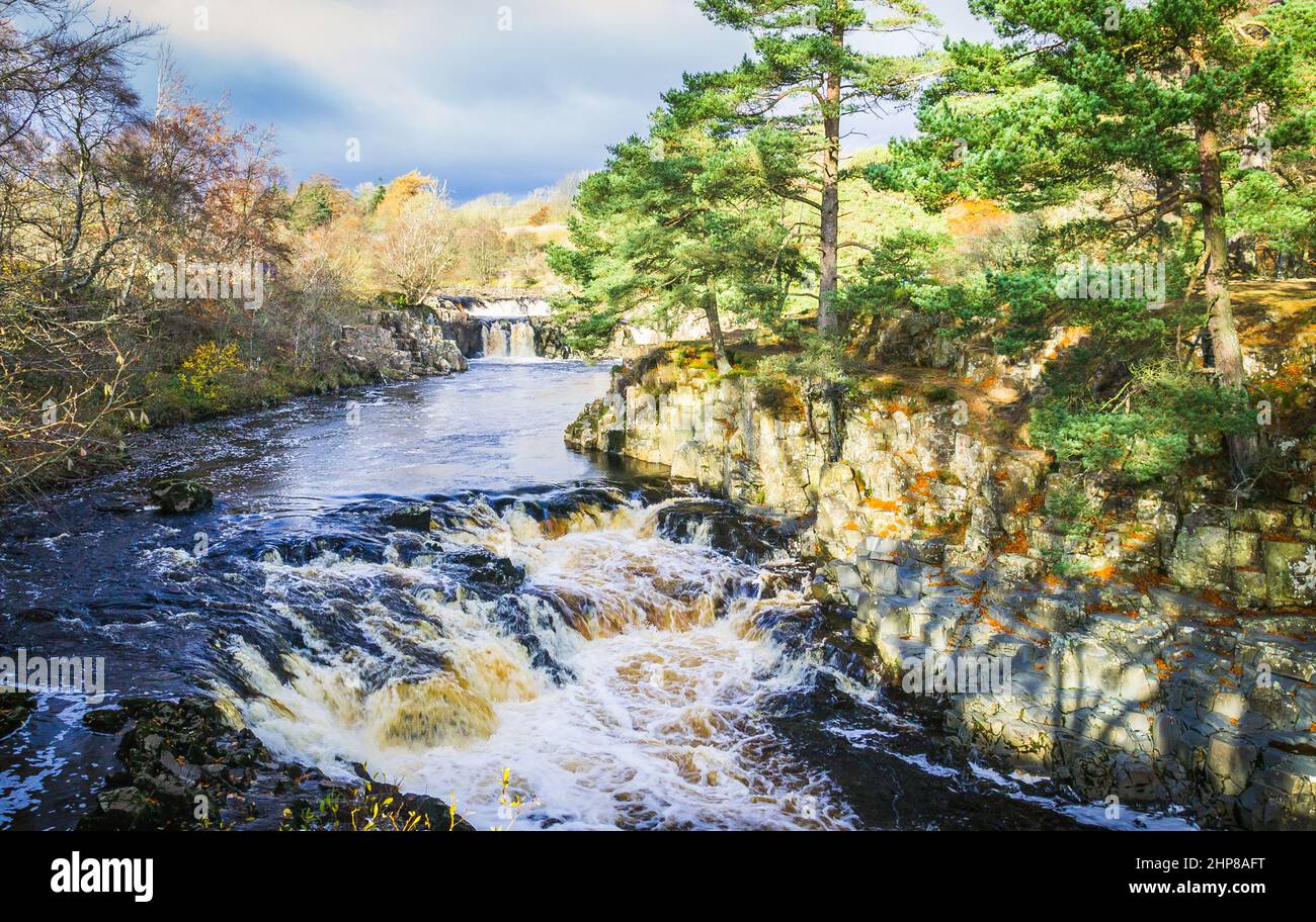 One of the cascades at Low Force Waterfalls on the River Tees in Upper Teesdale, Country Durham. This is next to the Pennine Way and is AONB Stock Photo