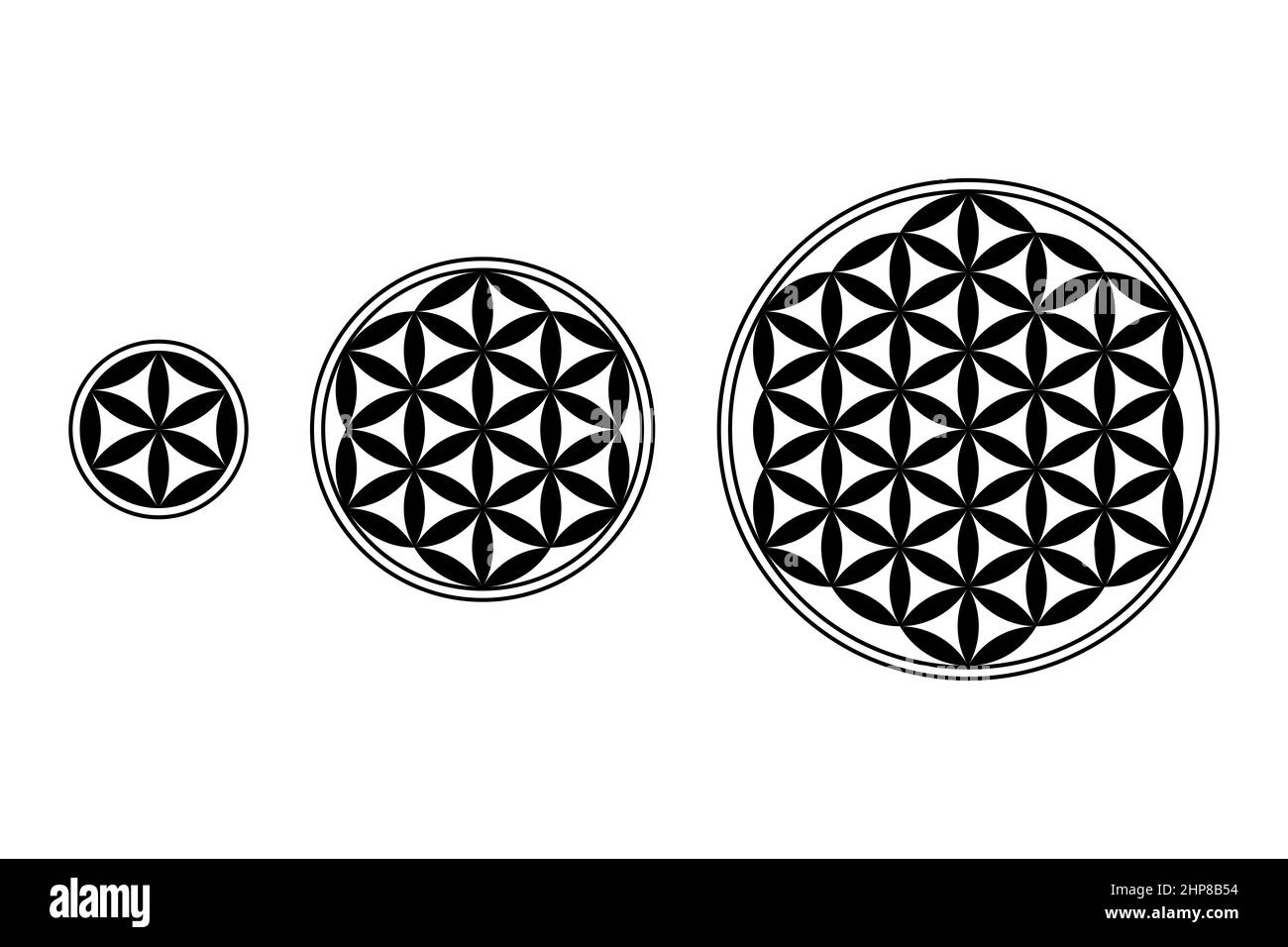 Flower of Life, Core and Seed of Life with black filled petals. Geometric figures and spiritual symbols of the Sacred Geometry. Stock Photo