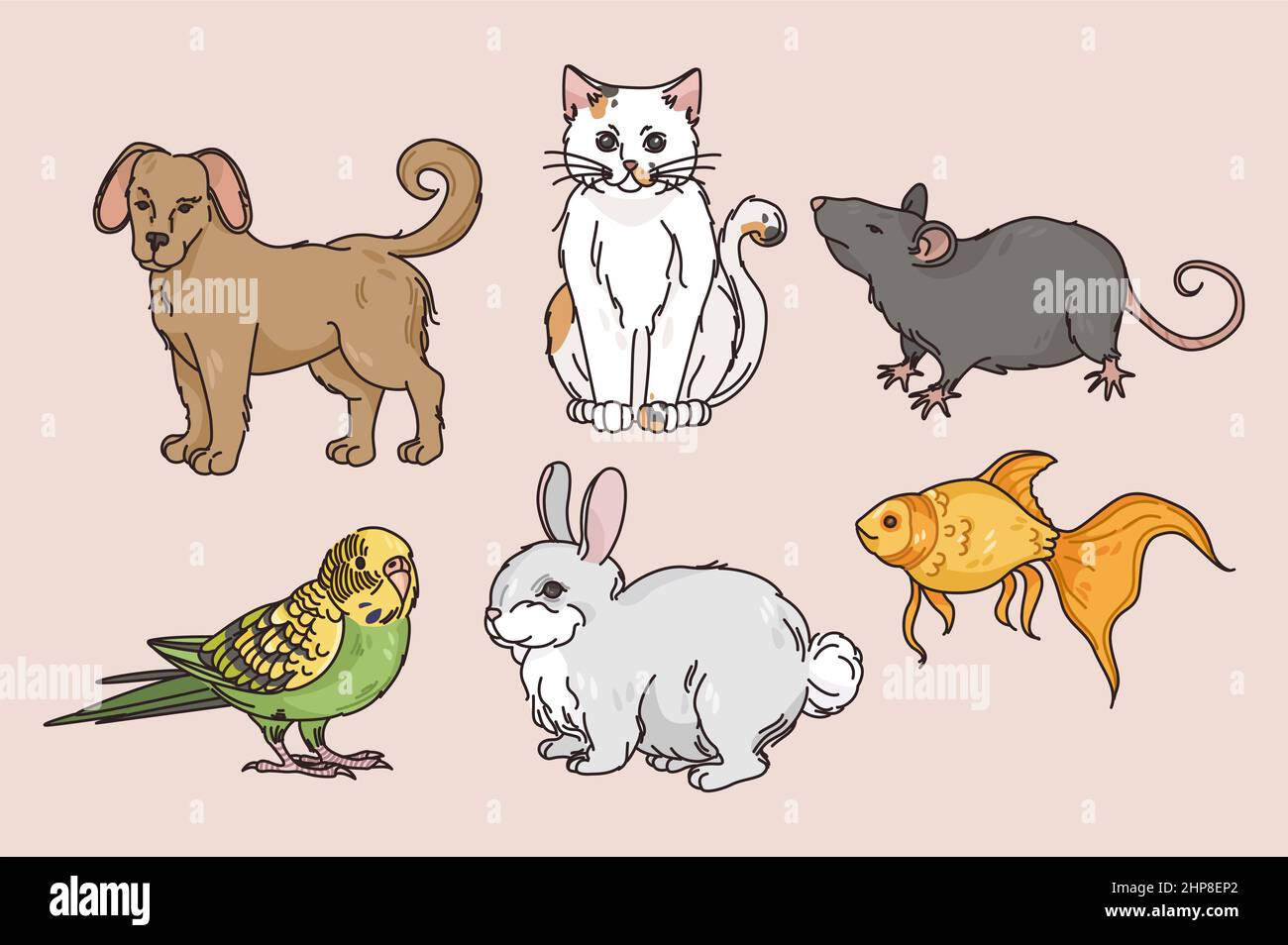 Collection of various pets or domestic animals Stock Vector