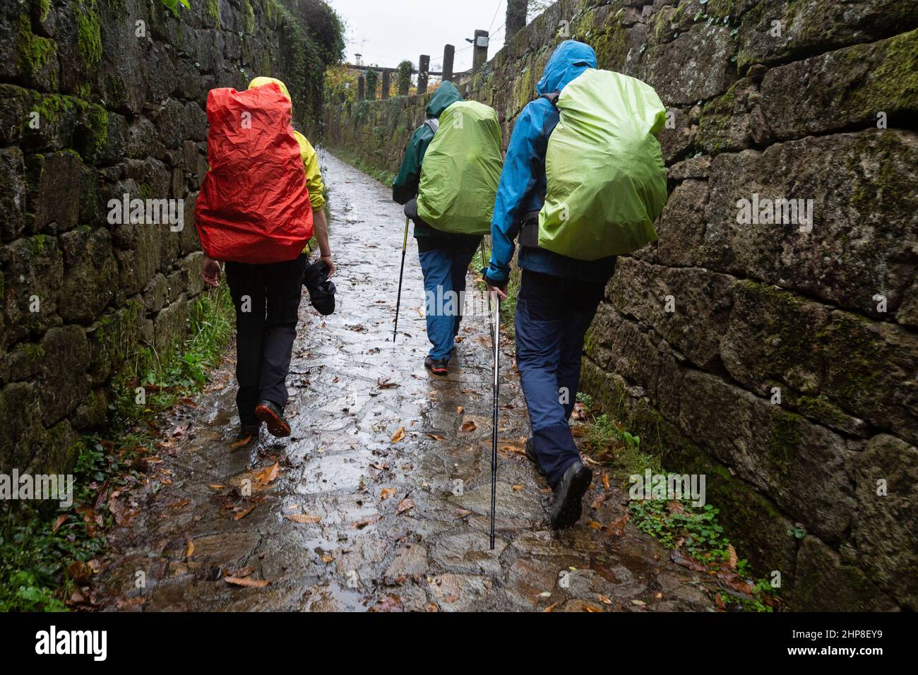 Three pilgrims walk in the rain on the Portuguese Camino de Santiago in Aldea Cambelas, Padron Stock Photo