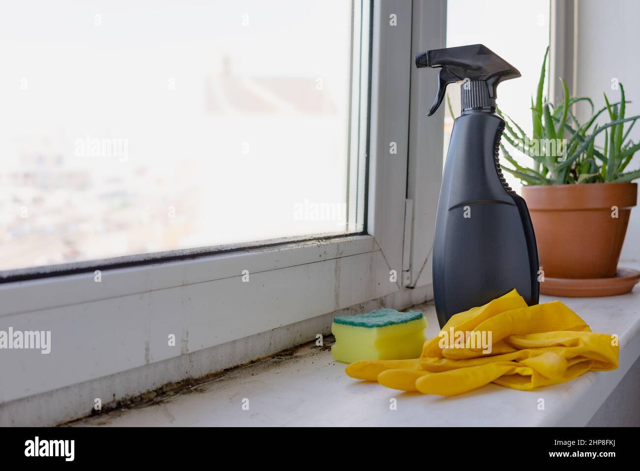 Cleaning products, cleaning. Mold on the windowsill Preparing to remove mold. Space for text