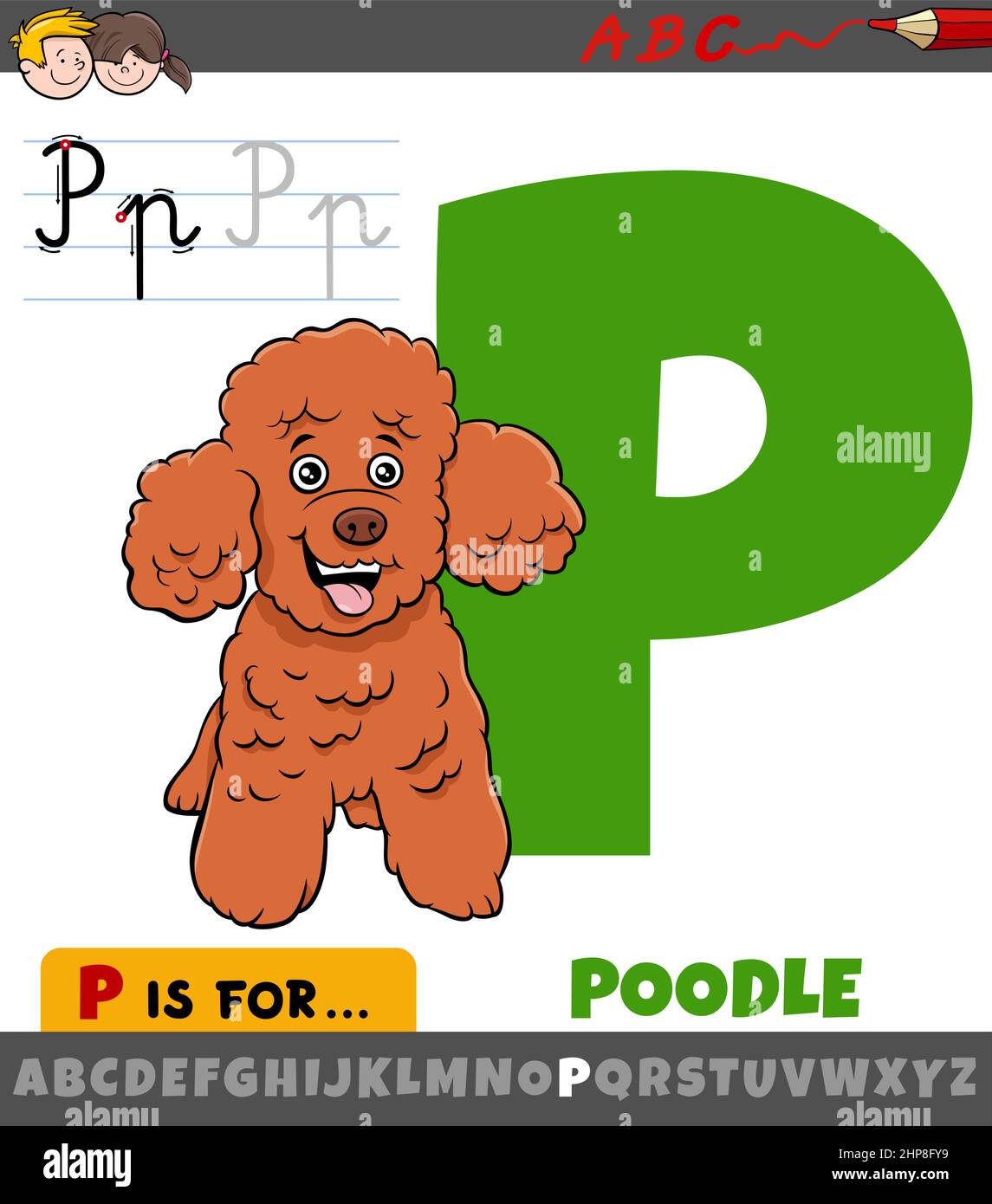 letter P from alphabet with cartoon poodle dog character Stock Vector