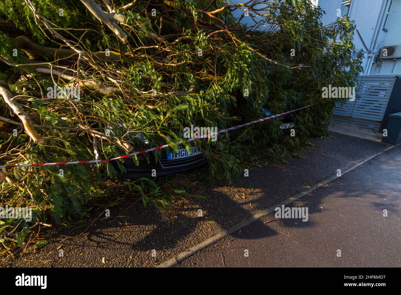 BOURNEMOUTH, ENGLAND UK – FEBRUARY 19: Storm Eunice large tree fallen crushing two cars, registration plates showing, wide angle, from side, landscape Stock Photo