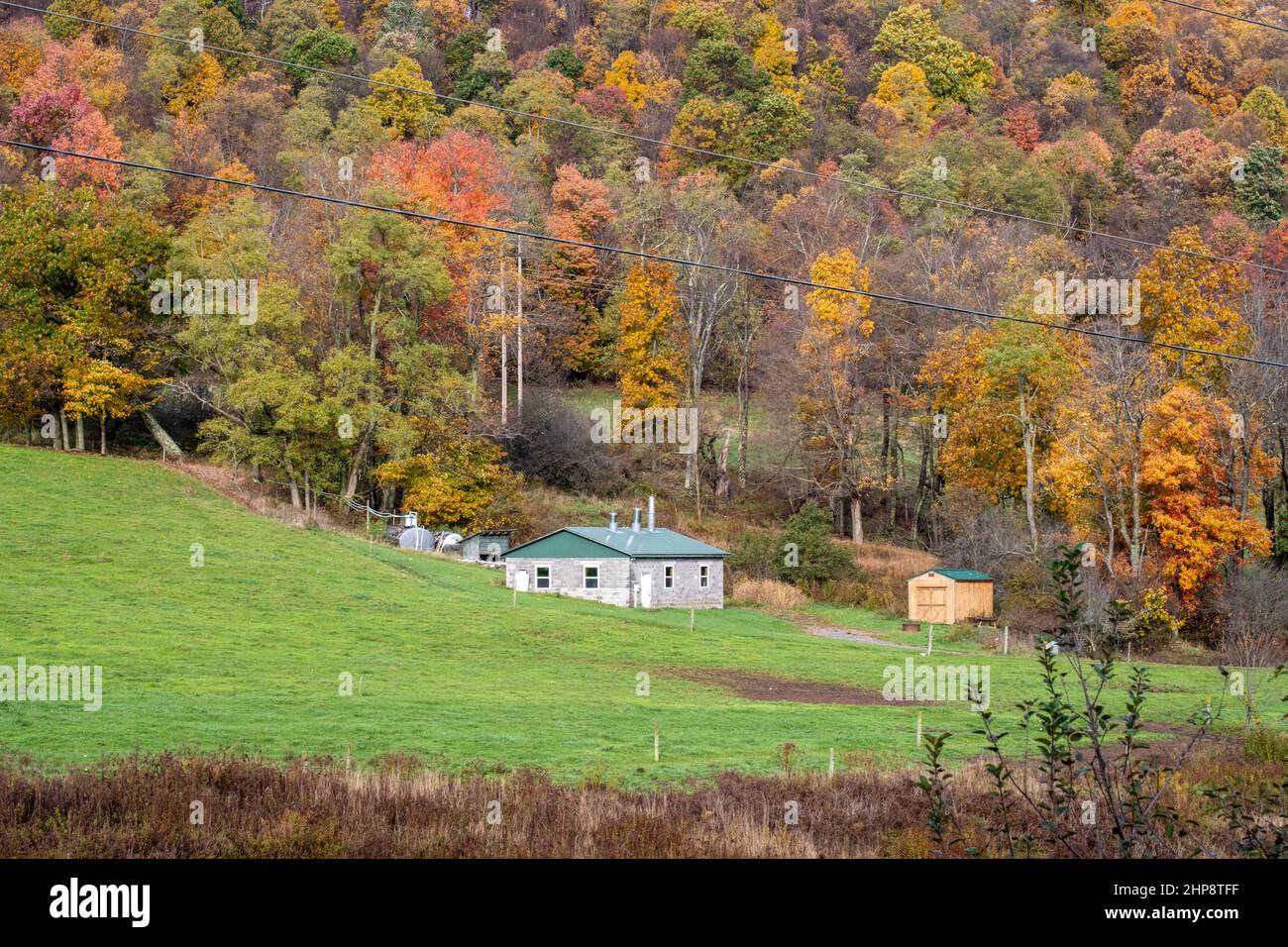 sugar house (maple syrup Stock Photo Alamy