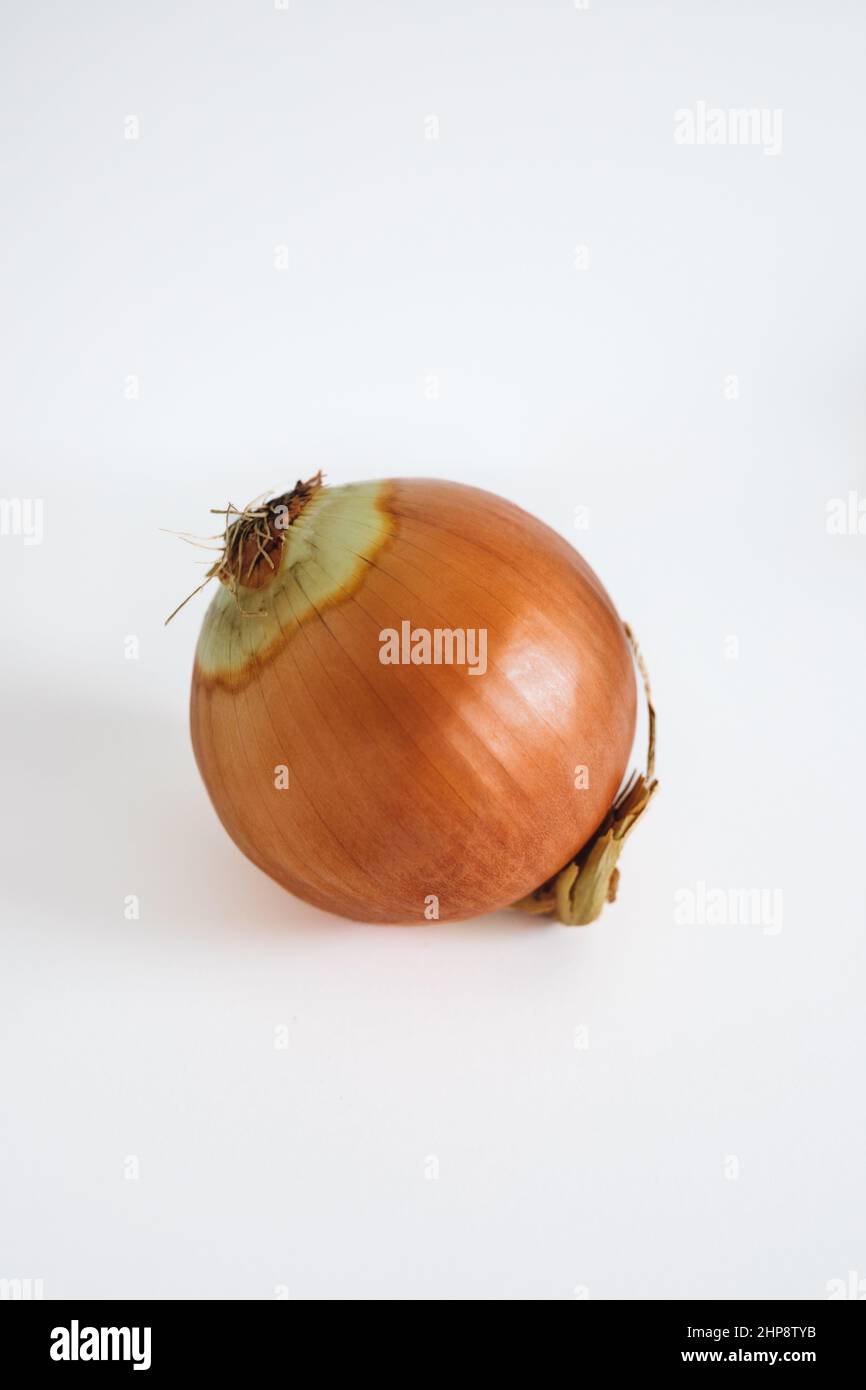 yellow onion isolated on white background Stock Photo