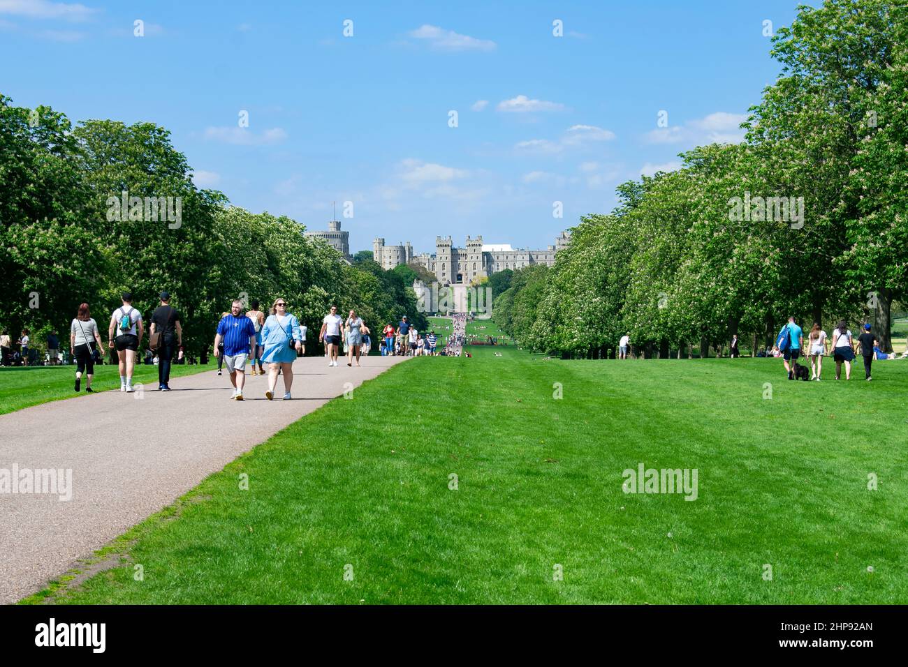Visitors stroll along The Long Walk, a tree lined road and pathway that leads to the upper ward pf Windsor Castle, Berkshire, England. Stock Photo