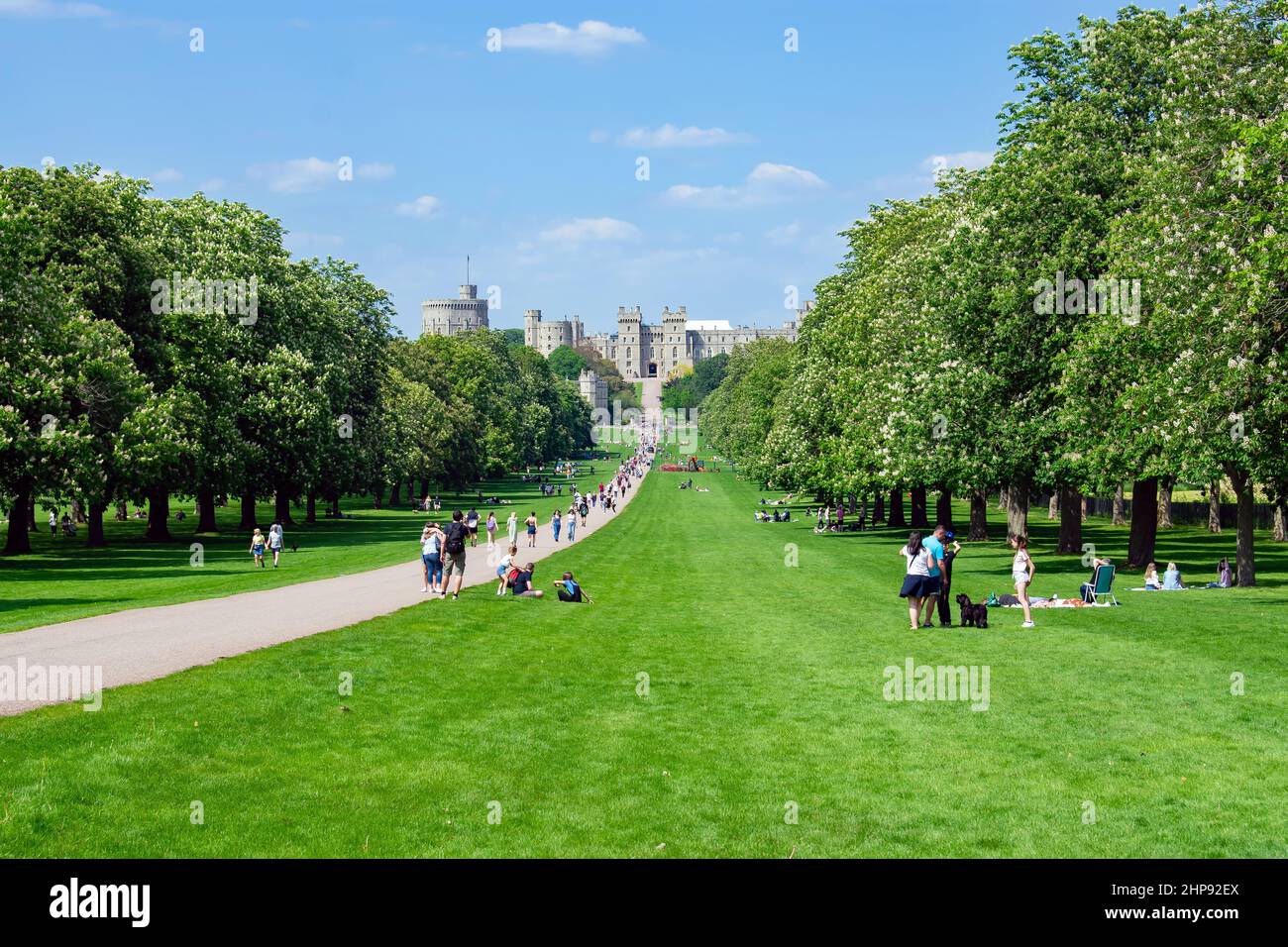 The Long Walk, a tree lined avenue in the Royal Parks of Windsor leads