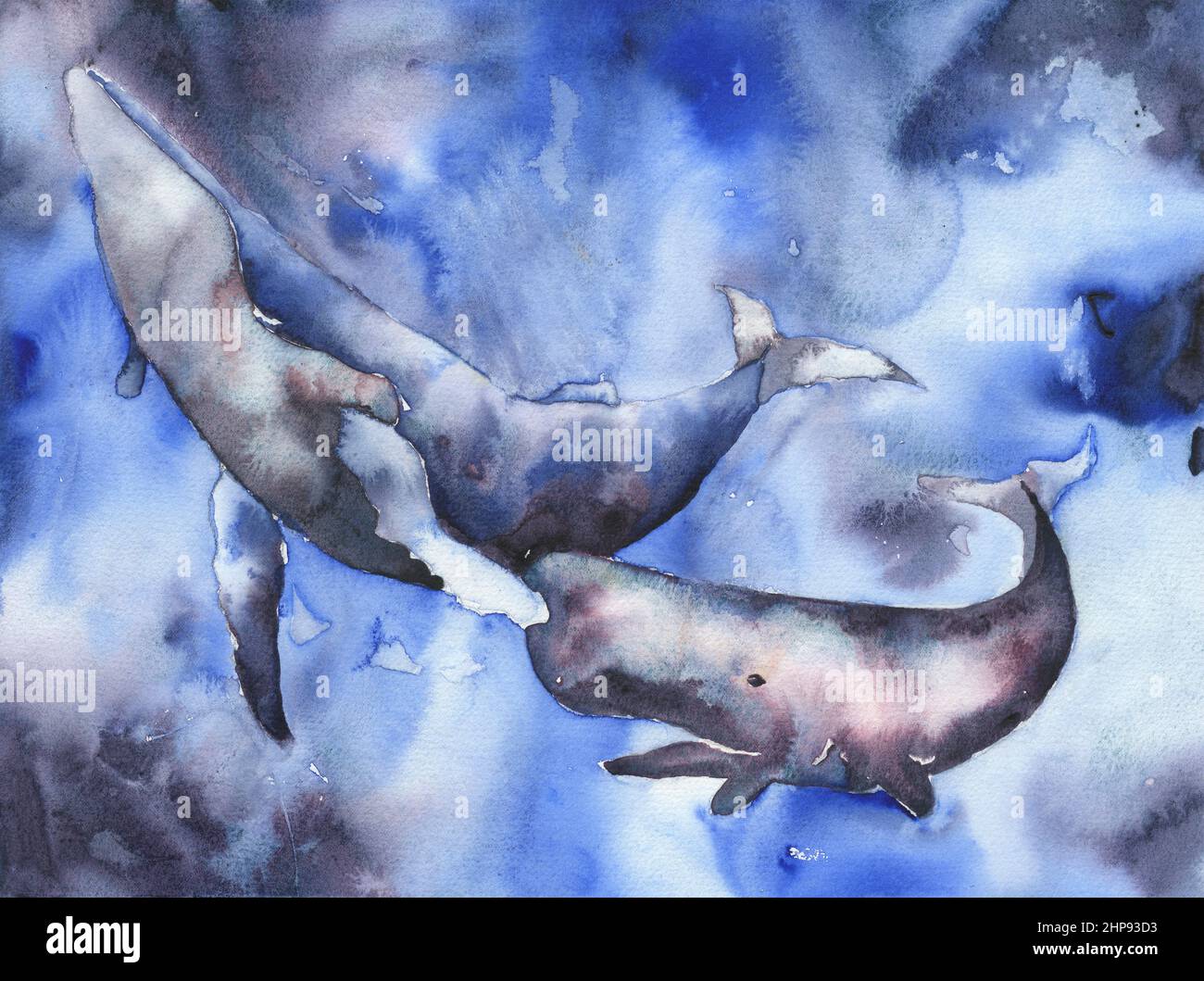 Colorful painting of whale and sperm whale swmming in ocean nautical