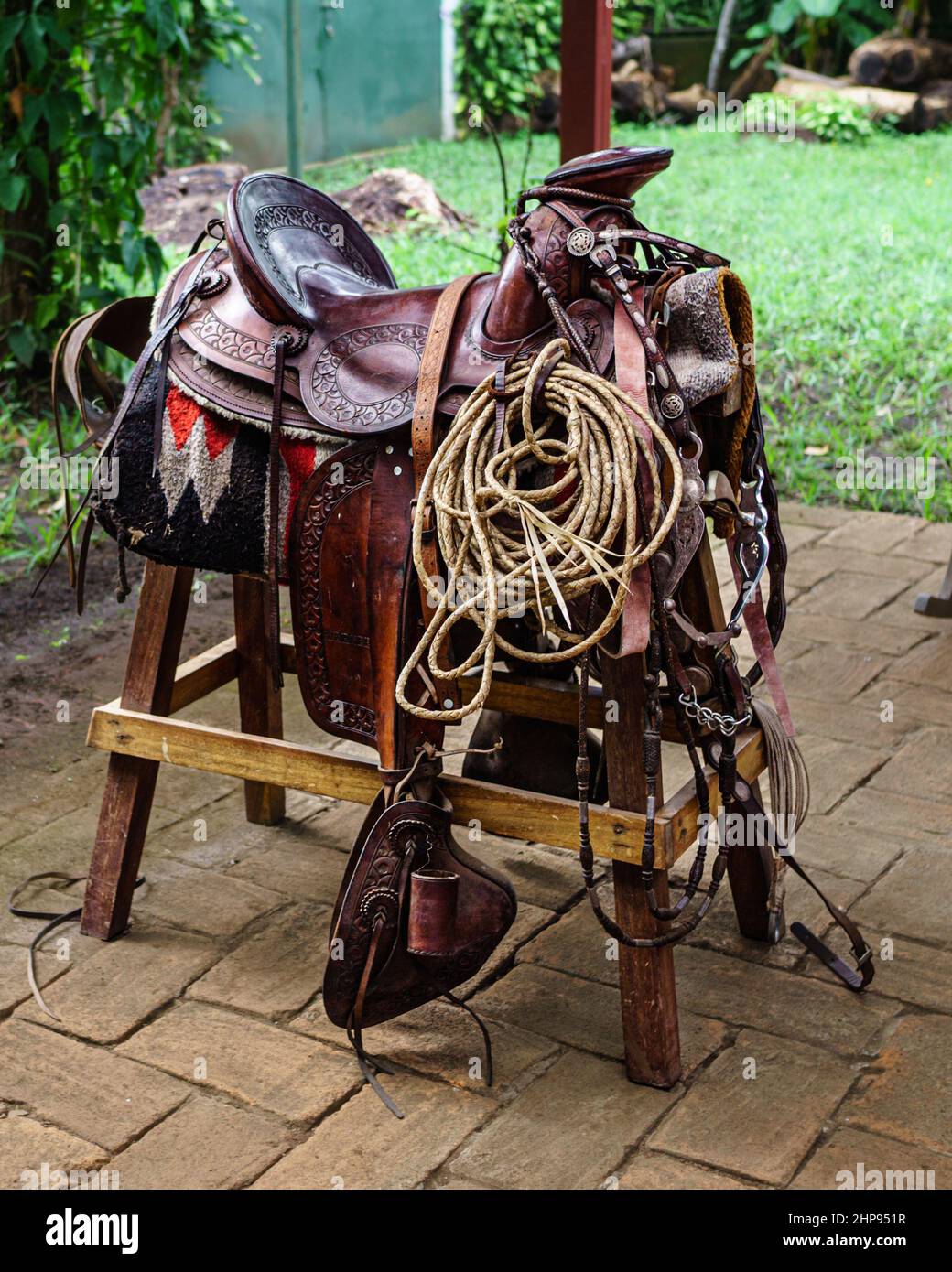 Mexican saddle and bridle hi-res stock photography and images - Alamy