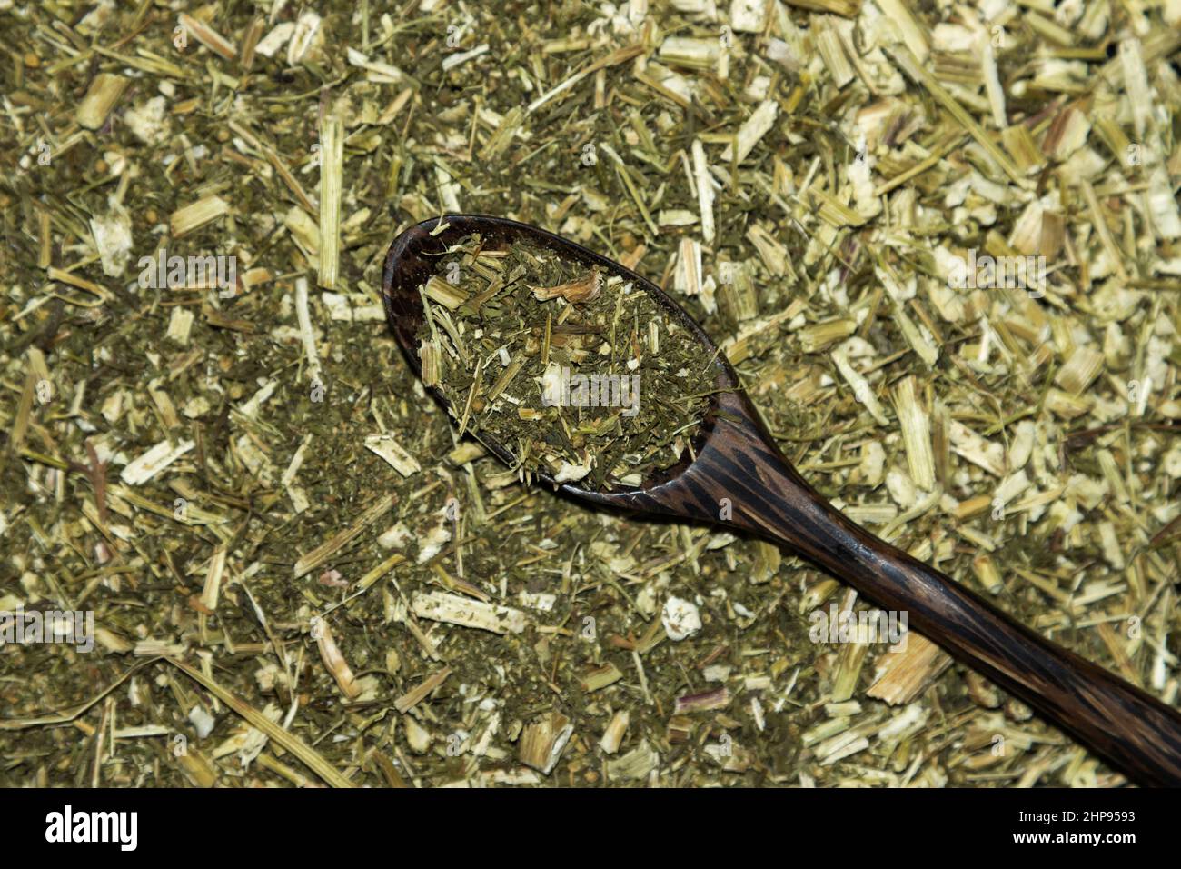 Artemisia annua, sweet wormwood, Stock Photo