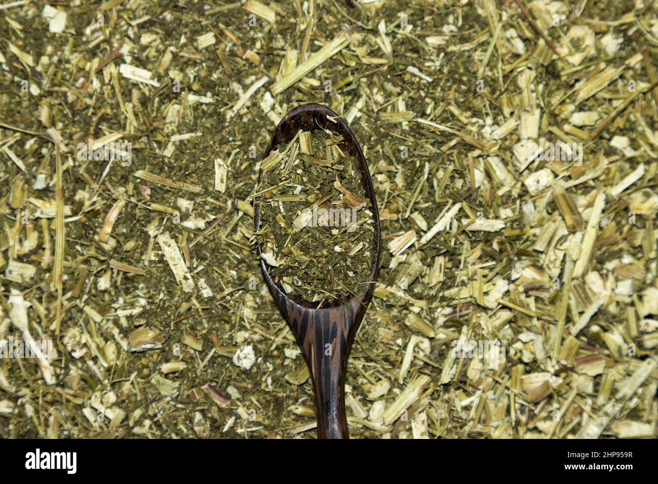 Artemisia annua, sweet wormwood, Stock Photo