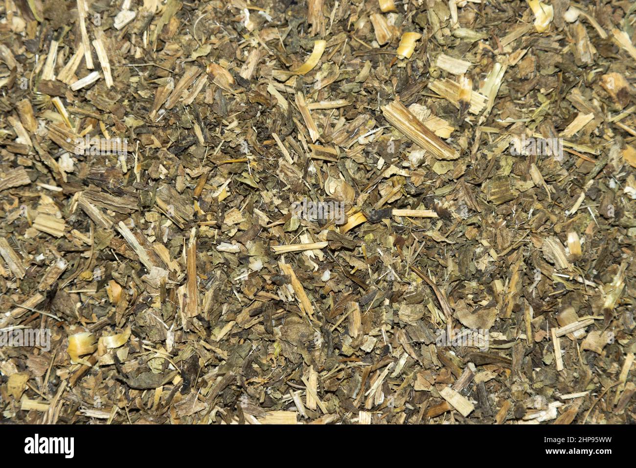 Silybum marianum tea Stock Photo