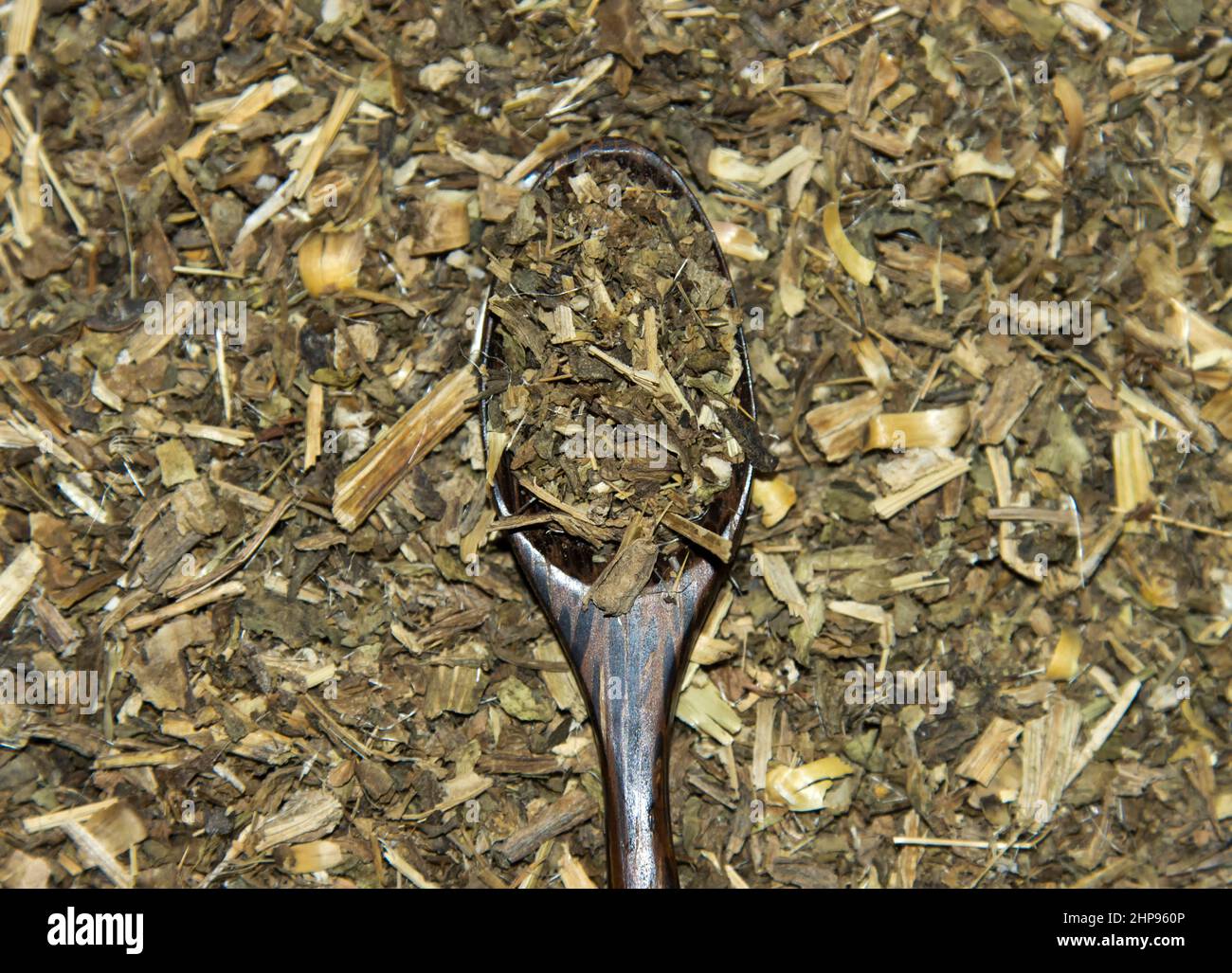 Silybum marianum tea Stock Photo