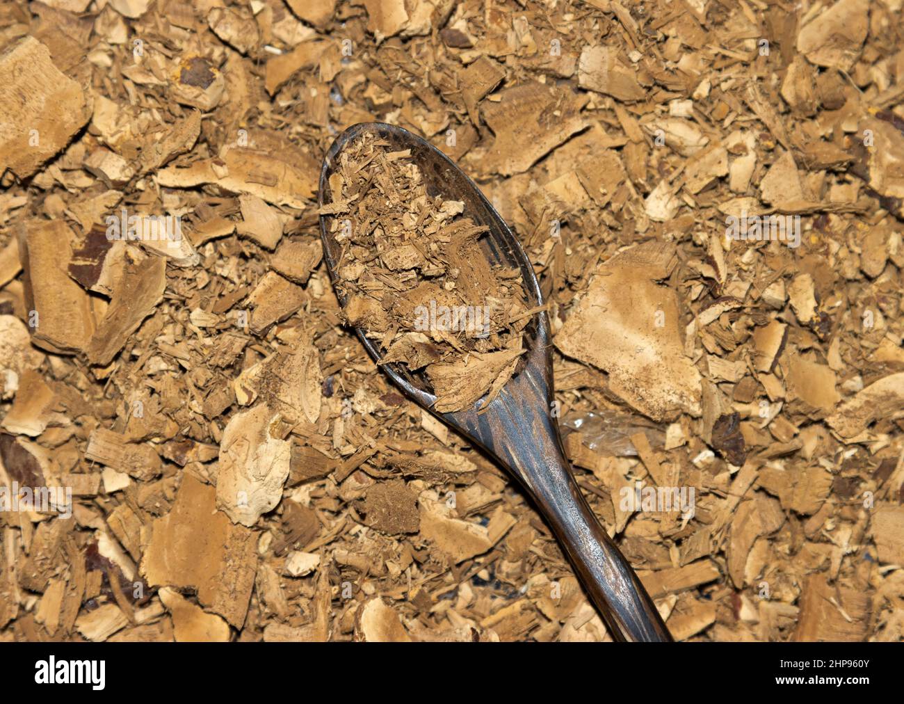 Ganoderma lucidum, Reishi, Stock Photo