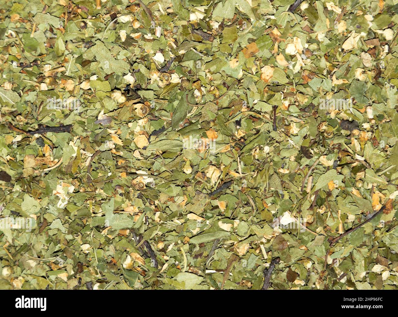 Tea Crataegus Stock Photo