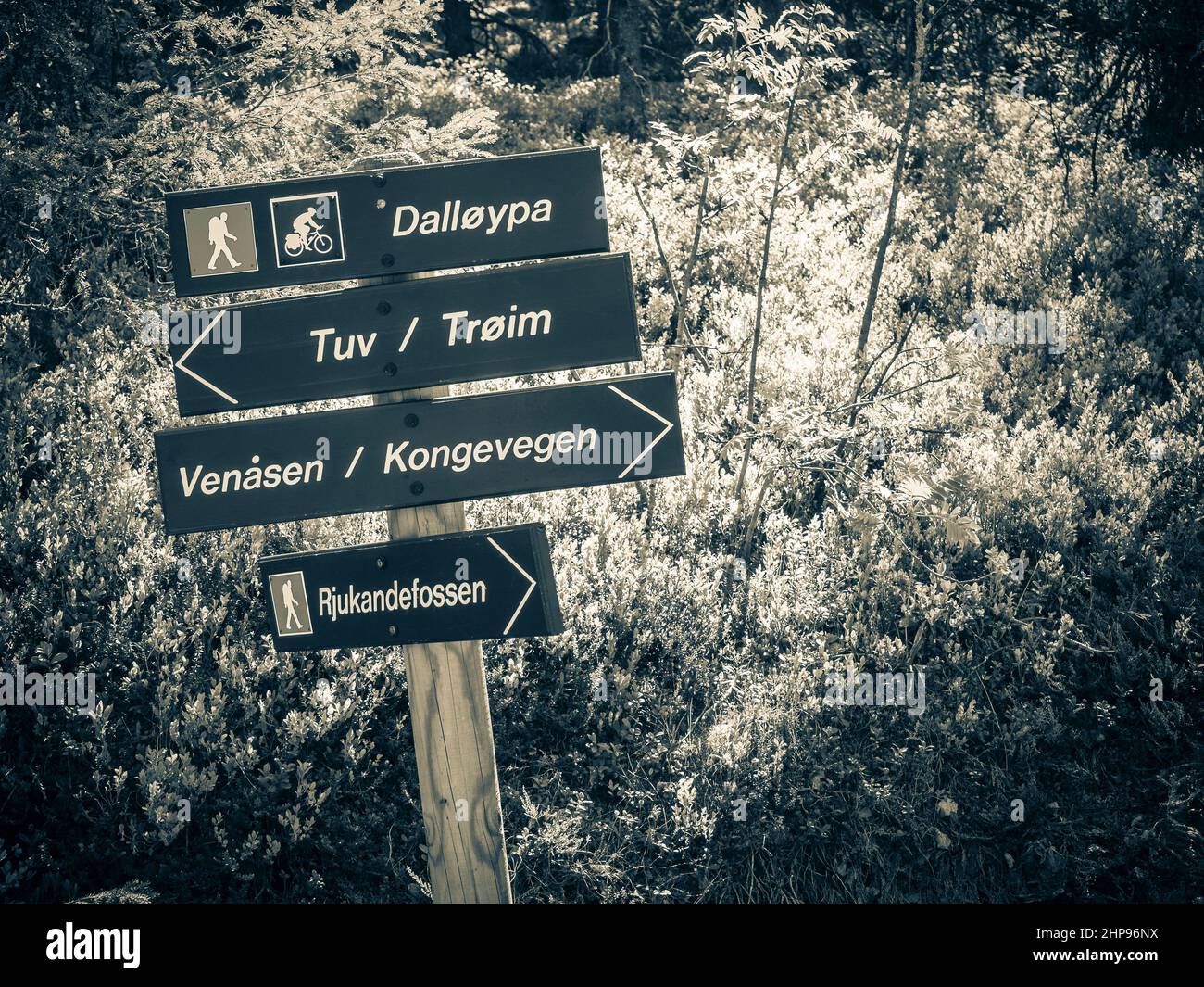 Norwegian travel and direction signs hi-res stock photography and