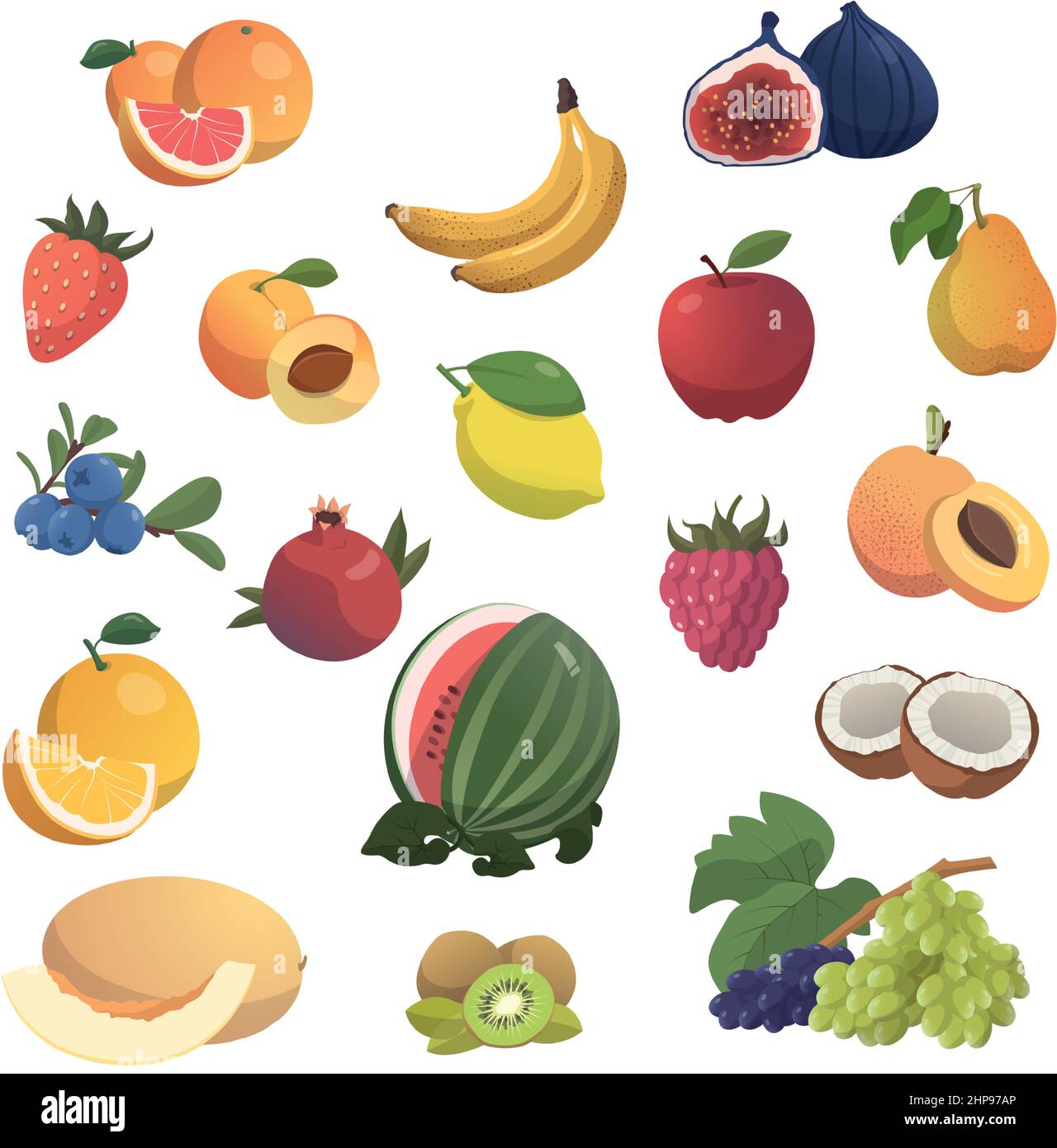 Stock Vector