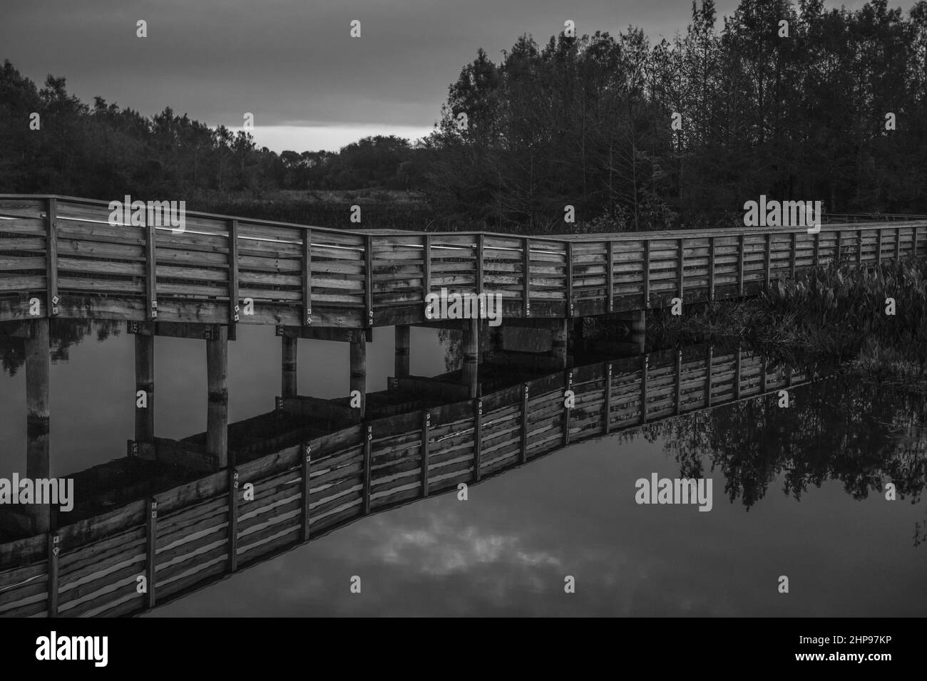 Grayscale of a fence reflected in a lake Stock Photo - Alamy