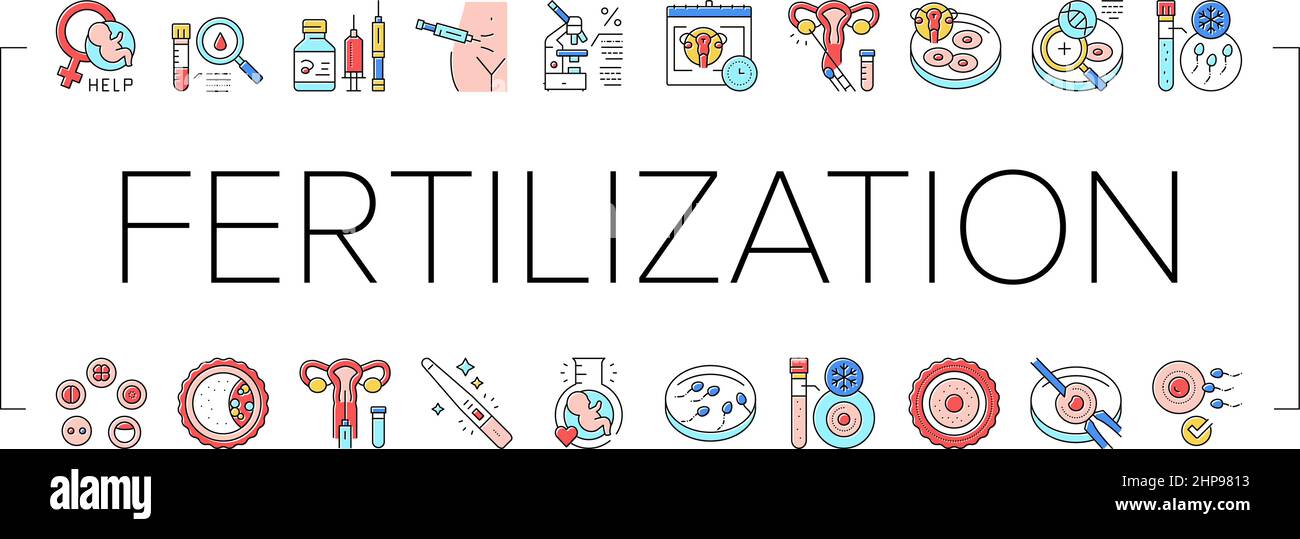 Fertilization Treat Collection Icons Set Vector Stock Vector Image ...