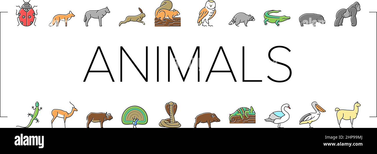 Wild Animals, Bugs And Birds Icons Set Vector Stock Vector Image & Art ...