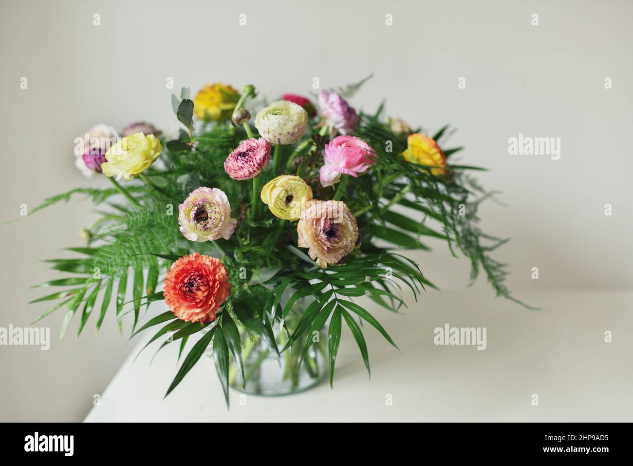 The multicolor ranunculus in a vase on a white background Stock Photo ...