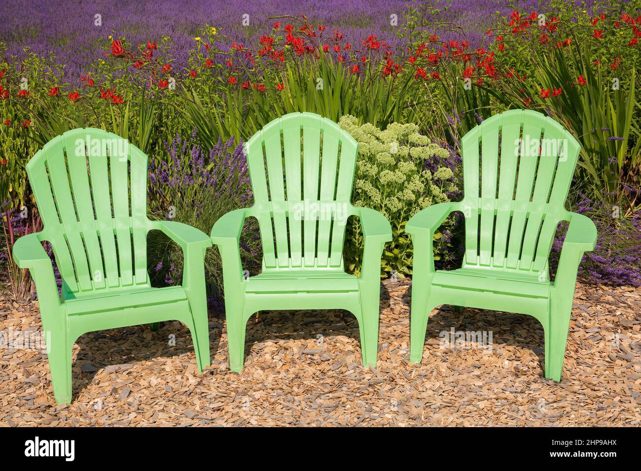 Three bright, mint-green plastic chairs against vibrant crocosmia and beautiful lavender field in Sequim, WA Stock Photo