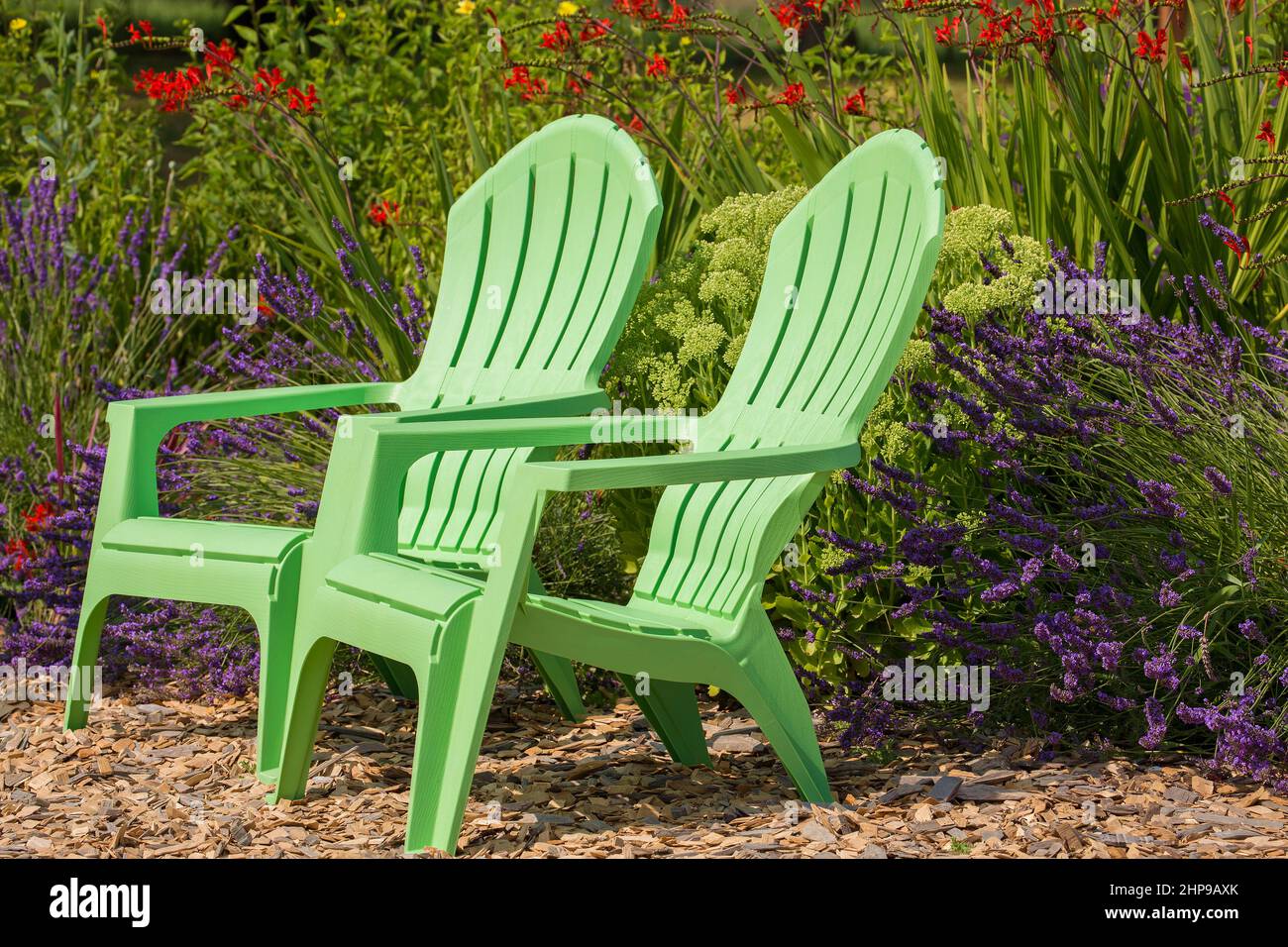 Two bright, mint-green plastic chairs against  vibrant crocosmia and beautiful lavender field in Sequim, WA Stock Photo