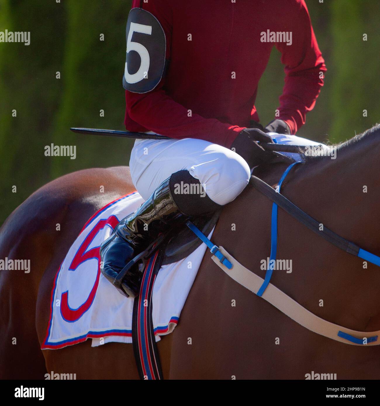 Hands and uniform of a jockey. Race horse in racing competition. Jockey on racing horse. Sport. Champion. Hippodrome. Equestrian. Derby. Closeup Stock Photo