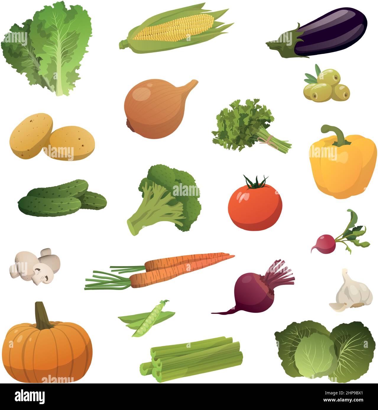 Stock Vector
