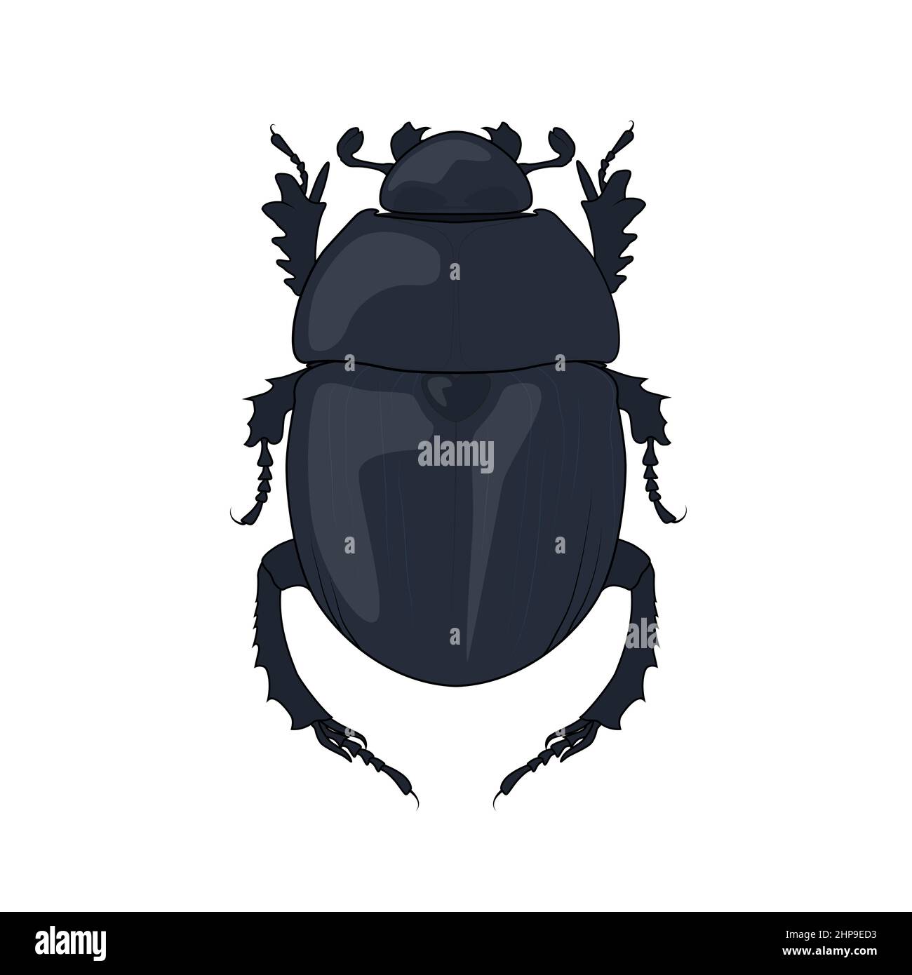 African dung beetle rolling ball Royalty Free Vector Image