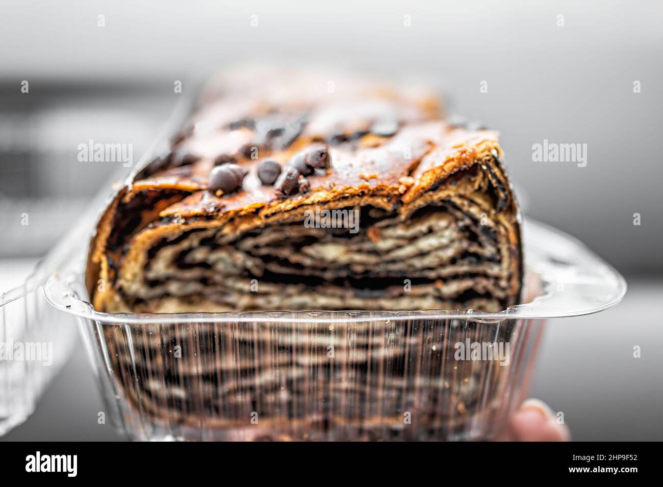 Baked babka Jewish pastry made with chocolate chips and challah bread