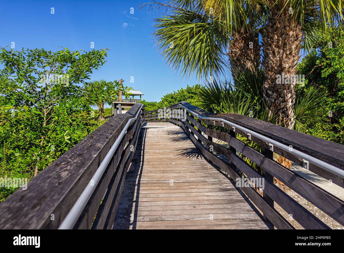 Marco Island near Naples Florida in Coller County with wooden boardwalk