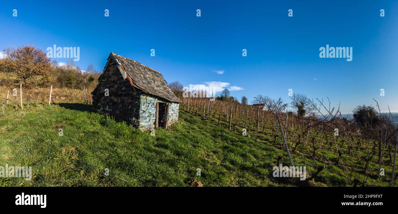 Vertougit Vue Panoramique D une Cabane Bleue De Vigneron Dans Son vertougit-vue-panoramique-d-une-cabane-bleue-de-vigneron-dans-son