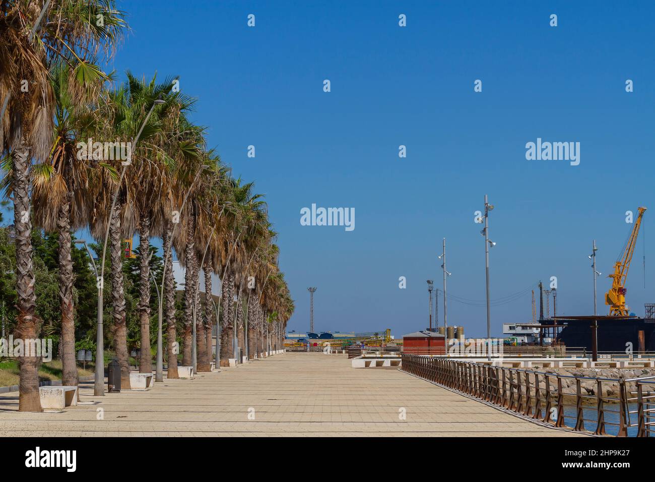 landscape with palm trees on the seafront of astilleros in the city of cadiz Stock Photo