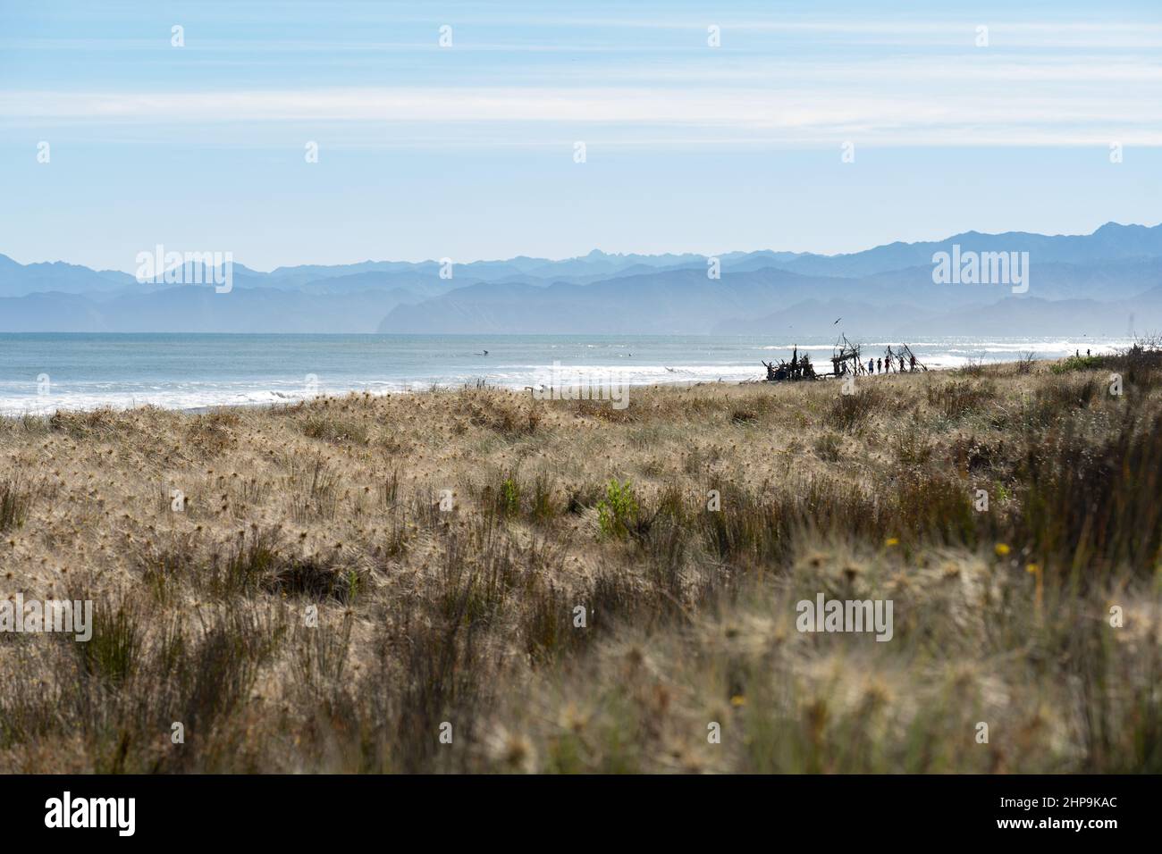 A sunny day on an east coast beach in the North Island of New Zealand Stock Photo
