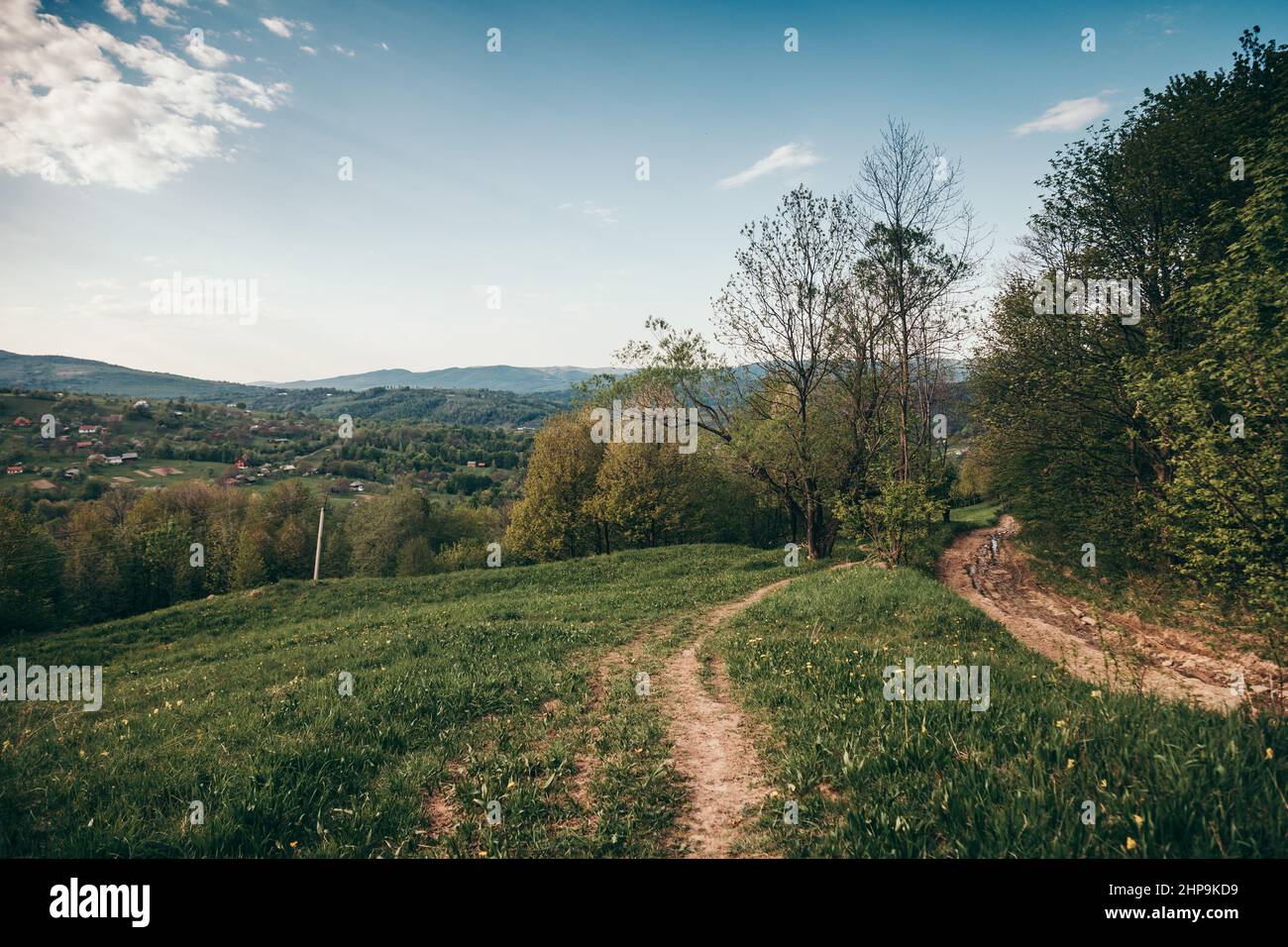 A train on a lush green field Stock Photo