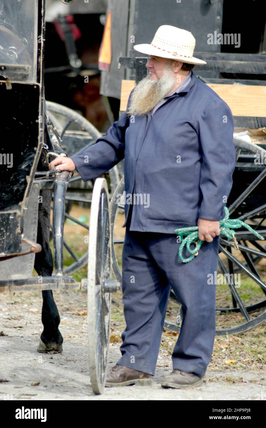 Amish farmers in ohio hires stock photography and images Alamy