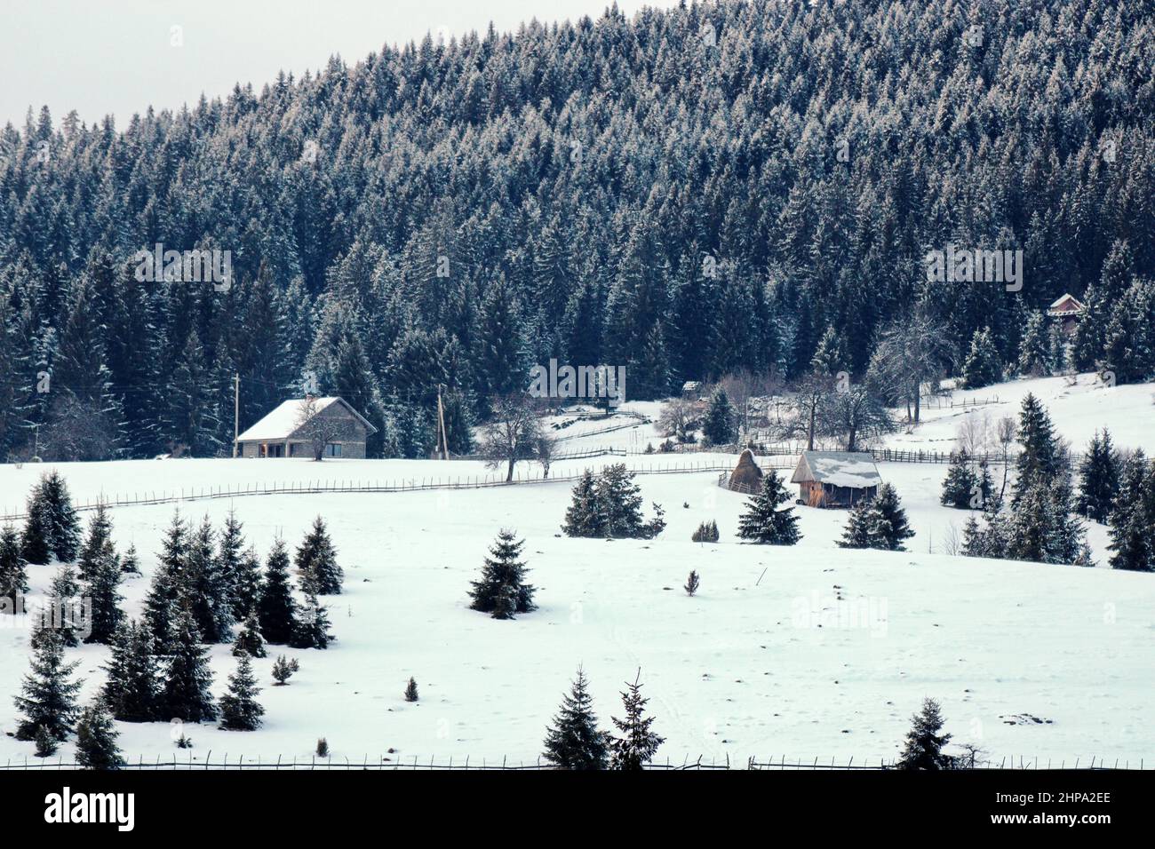 Rural houses in a snowy field on the mountain Stock Photo - Alamy