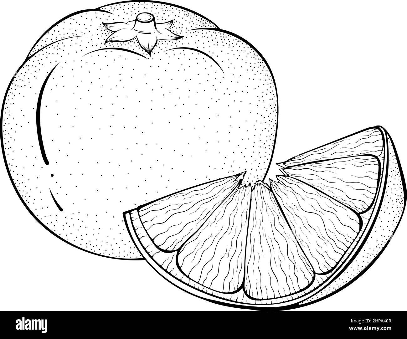 Whole and sliced tangerine Stock Vector Image & Art Alamy
