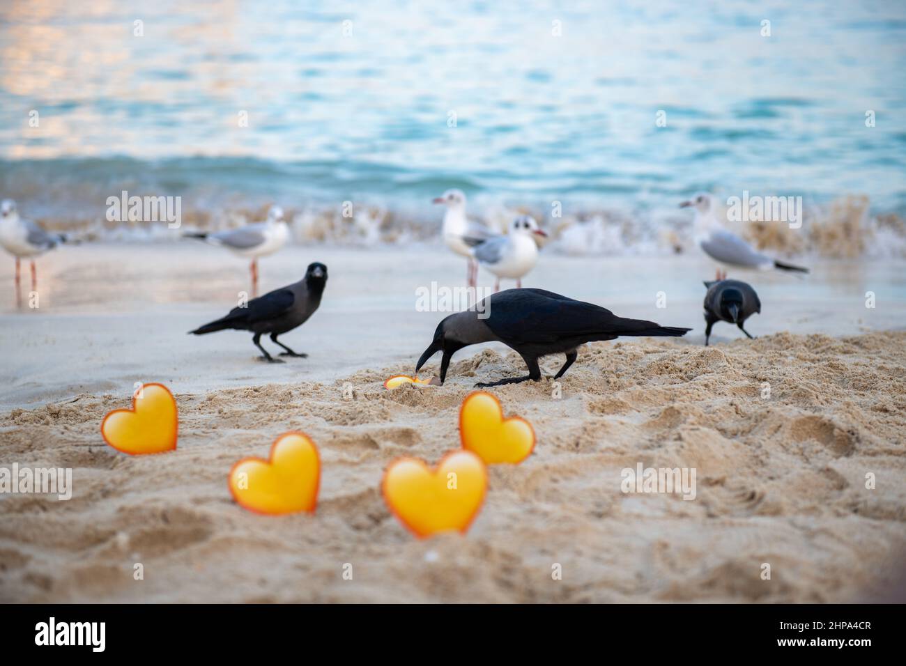 crows and yellow hearts in the sand stand on the sea Stock Photo