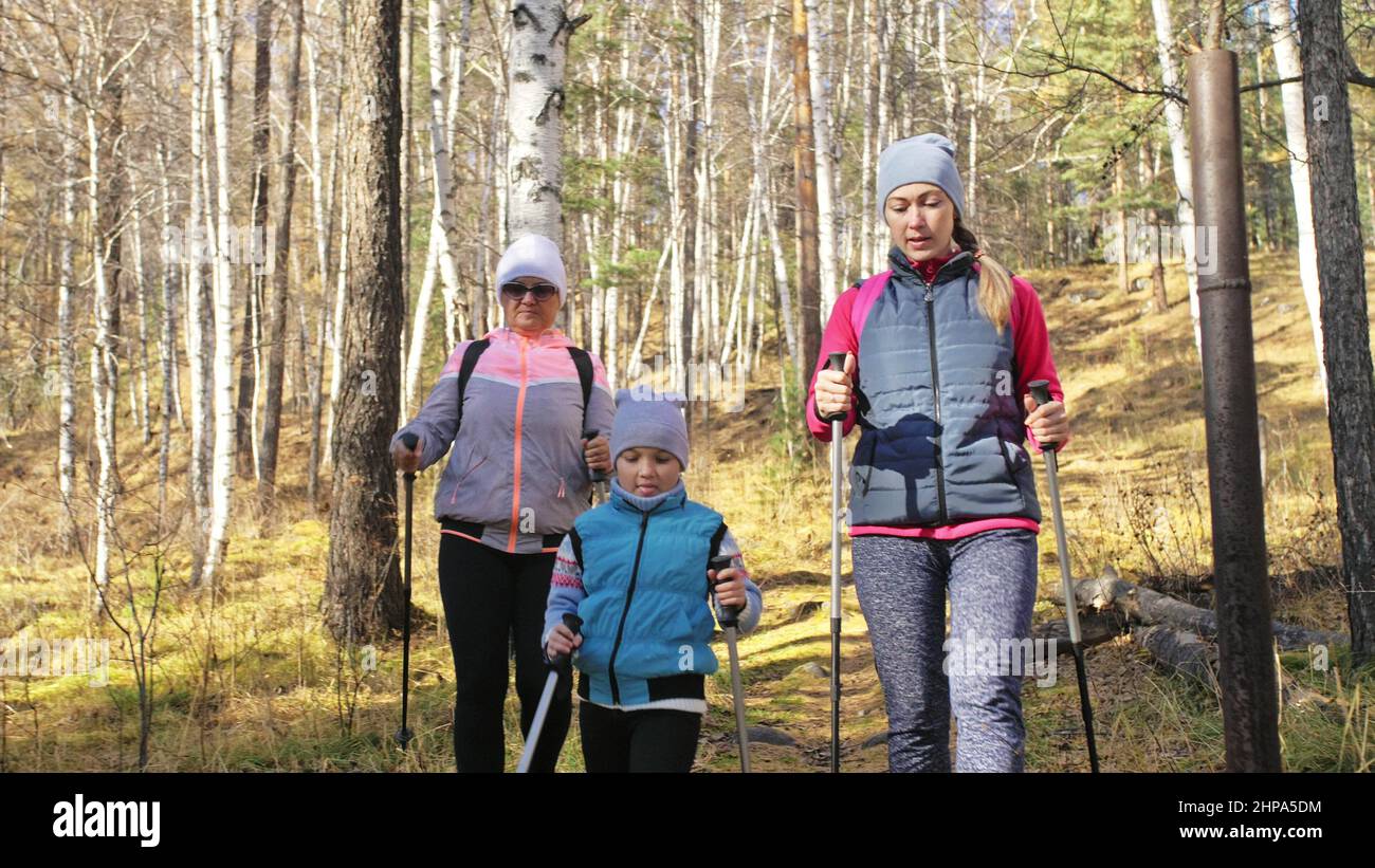 Woman do Nordic walking in nature. Girls and children use trekking sticks and nordic poles, backpacks. Family travels and goes in for sports. Kid is l Stock Photo