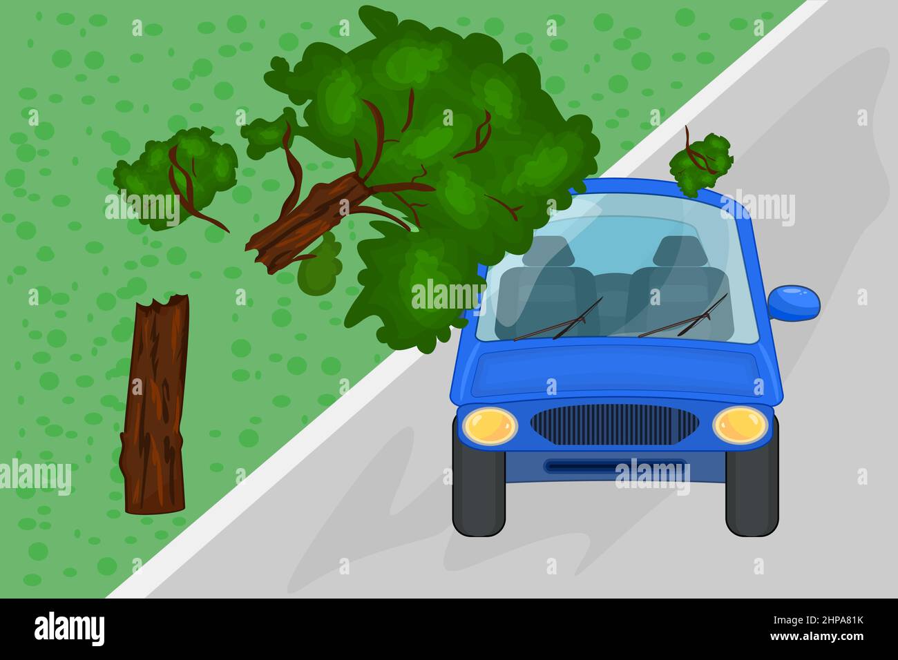 Tree branch fallen on car Stock Vector Images Alamy